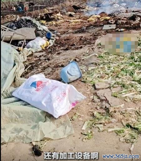 湖北一地搁置秸秆引燃鹅棚 5000只鹅苗耗费惨重