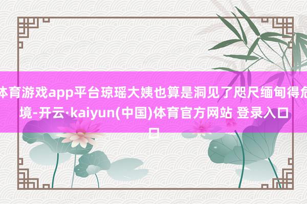 体育游戏app平台琼瑶大姨也算是洞见了咫尺缅甸得危境-开云·kaiyun(中国)体育官方网站 登录入口