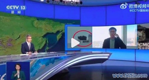 飞机撞鸟到底有多危急？25年间形成了40次事故
