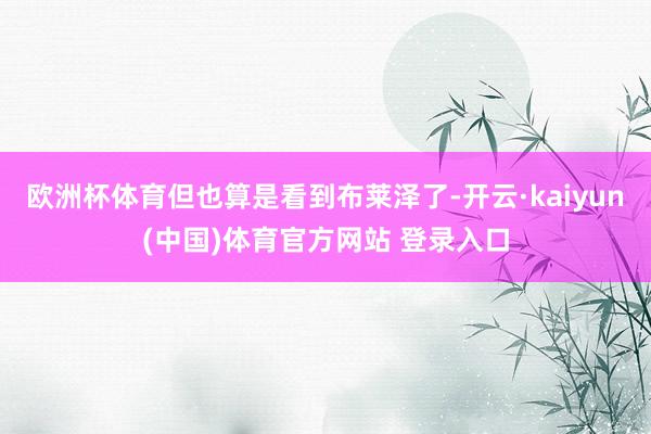 欧洲杯体育但也算是看到布莱泽了-开云·kaiyun(中国)体
