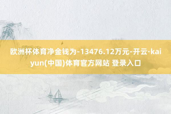 欧洲杯体育净金钱为-13476.12万元-开云·kaiyun
