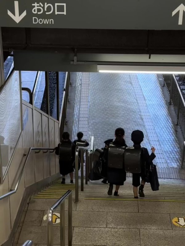 体育游戏app平台钱不错再有 但再也不会有一毕业就冲去日本旅