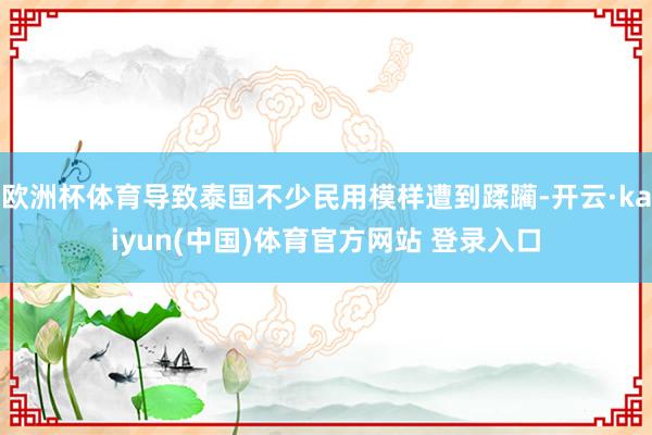 欧洲杯体育导致泰国不少民用模样遭到蹂躏-开云·kaiyun(