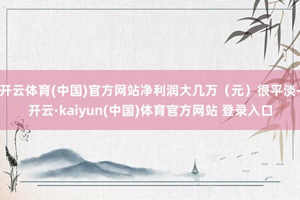 开云体育(中国)官方网站净利润大几万(元)很平淡-开云·kaiyun(中国)体育官方网站 登录入口