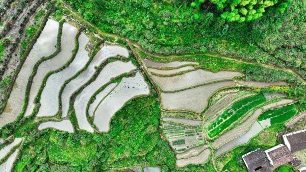 开yun体育网李煜祖摄 6月13日-开云·kaiyun(中国