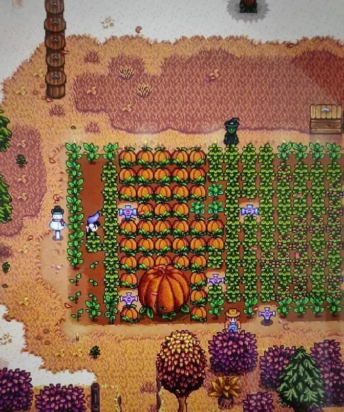 开云体育好多东说念主准备仅仅玩已而（成果并非如斯）-开云·k