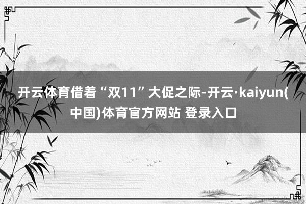 开云体育借着“双11”大促之际-开云·kaiyun(中国)体