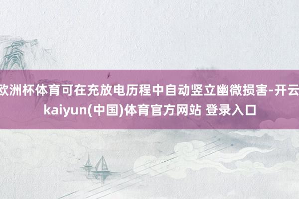 欧洲杯体育可在充放电历程中自动竖立幽微损害-开云·kaiyun(中国)体育官方网站 登录入口